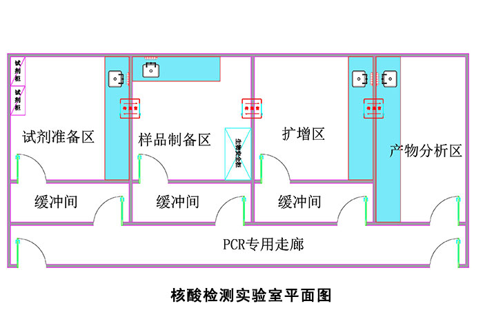 核酸檢測實(shí)驗(yàn)室平面圖